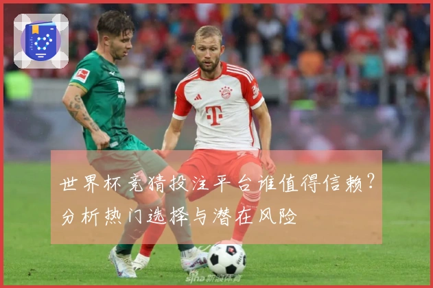 世界杯竞猜投注平台谁值得信赖？分析热门选择与潜在风险