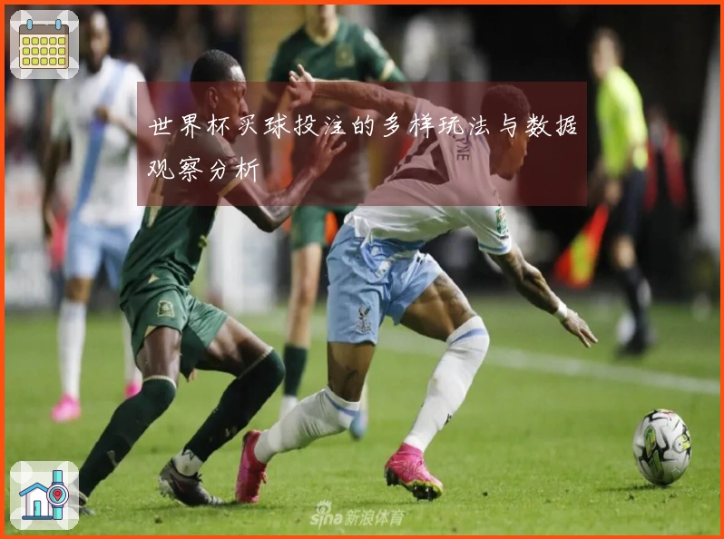 世界杯买球投注的多样玩法与数据观察分析