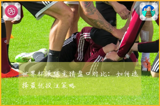 世界杯滚球竞猜盘口对比：如何选择最优投注策略