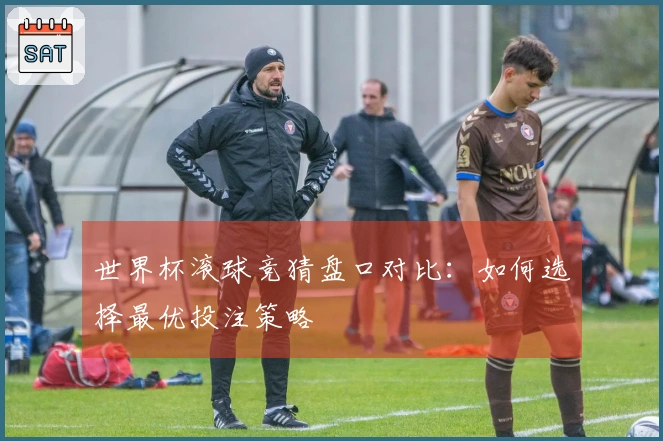 世界杯滚球竞猜盘口对比：如何选择最优投注策略