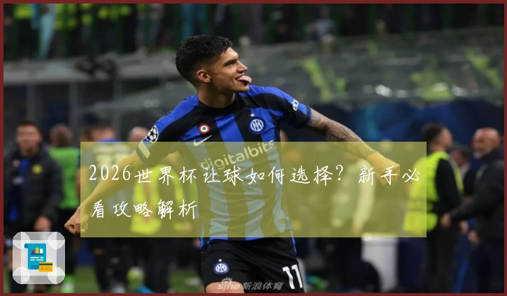 2026世界杯让球如何选择？新手必看攻略解析