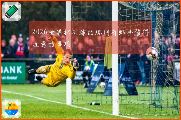 2026世界杯买球的规则有哪些值得注意的事项