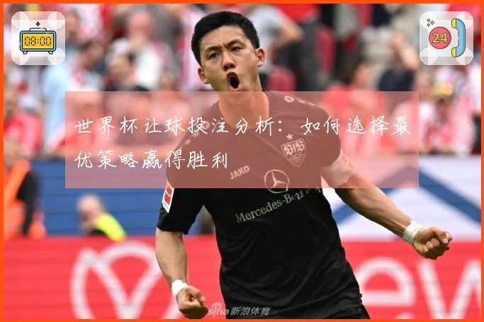 世界杯让球投注分析：如何选择最优策略赢得胜利