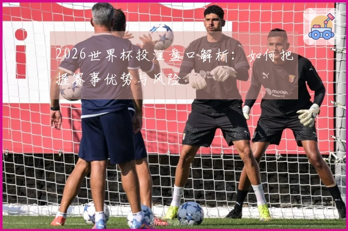 2026世界杯投注盘口解析：如何把握赛事优势与风险